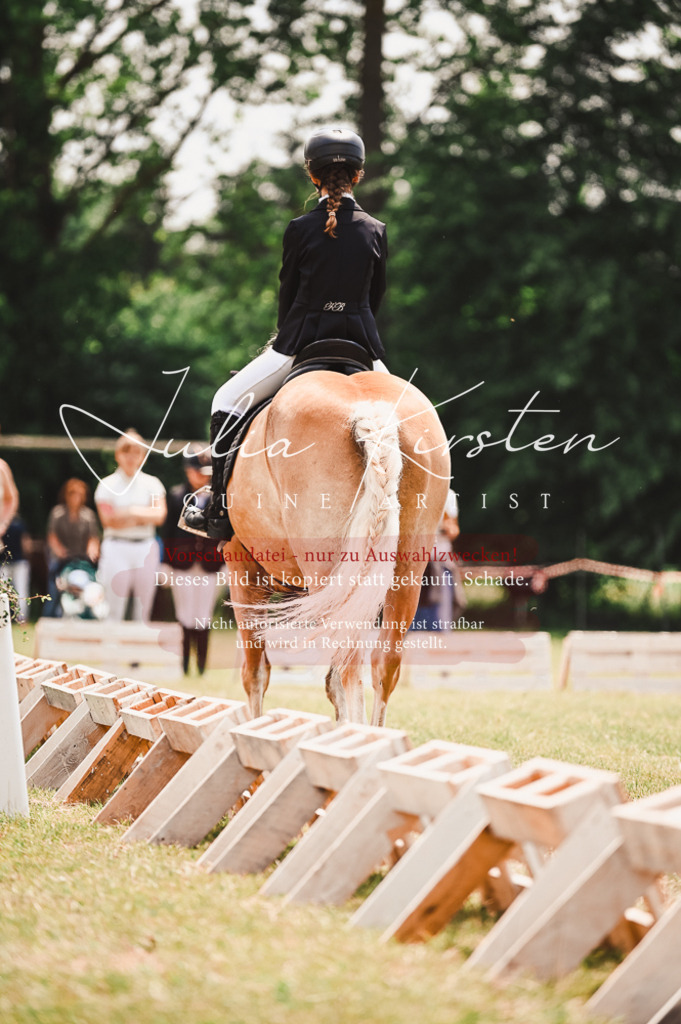 DSC_6260 | Pferde- und Turnierfotografie in Westsachsen. Pferdeportraits, Auftragszeichnungen und intuitive Kunst.