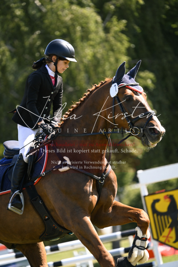 DSC_8753 | Pferde- und Turnierfotografie in Westsachsen. Pferdeportraits, Auftragszeichnungen und intuitive Kunst.