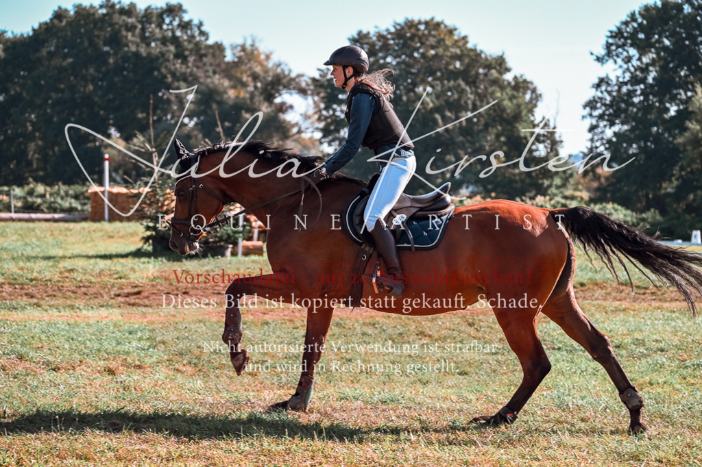 DSC_0559 | Pferde- und Turnierfotografie in Westsachsen. Pferdeportraits, Auftragszeichnungen und intuitive Kunst.