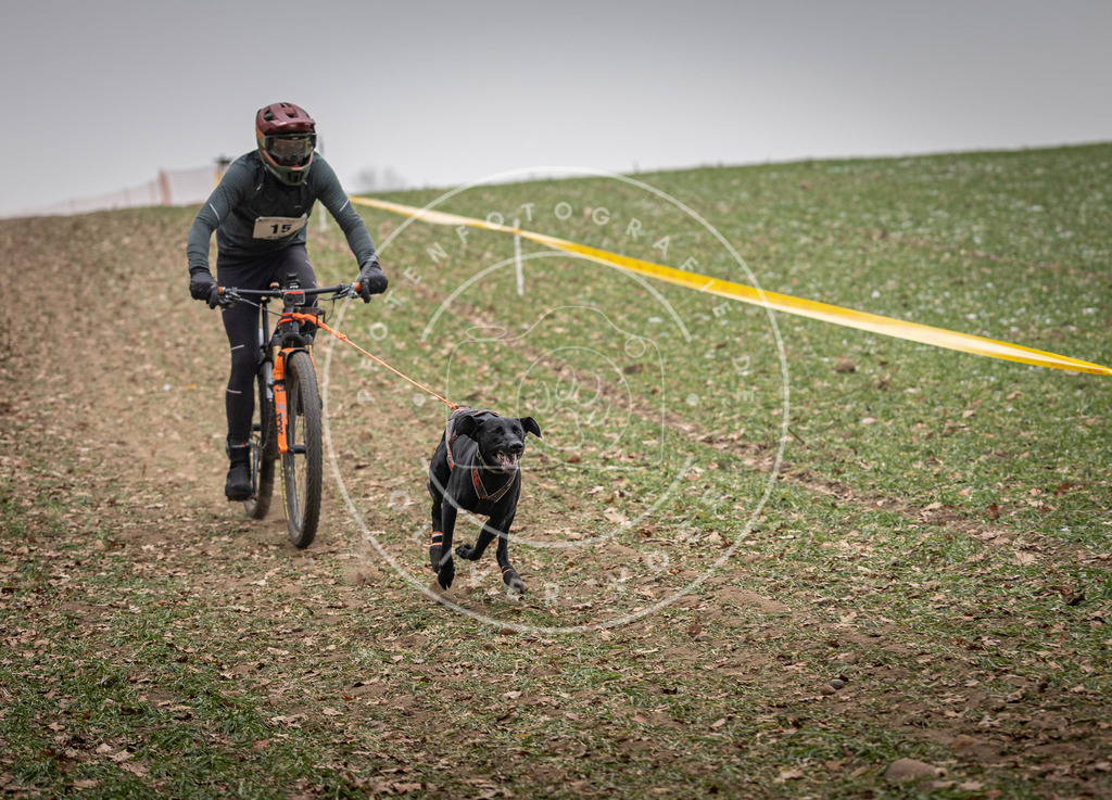 Pfotenfotografie_DV3A2407 | Hundefotografie, Tierfotograf, Pfotenfotografie, Fotoshooting Hund, Hunde Portrait, Hundesport, Hundeportraits, Heideshooting, Hunde, Sportfotograf, Hundefotograf, Turnierhundsport, THS,  - Realisiert mit Pictrs.com