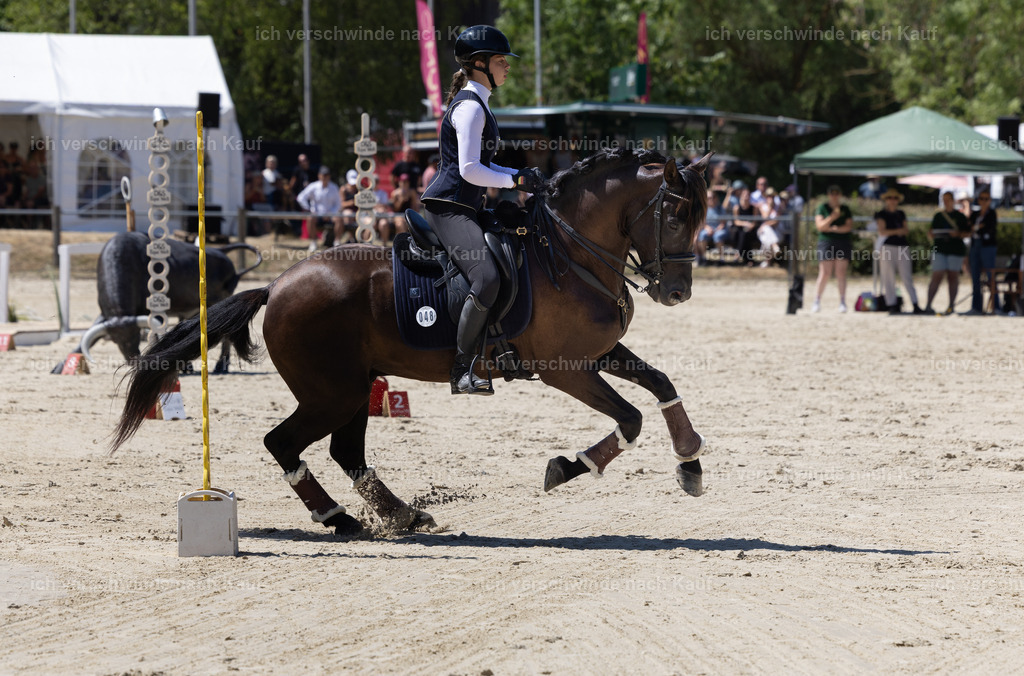 WM_Speed_Junioren_48_KerstinBernhardt-9 | working equitationturnier fotograf videograf stoibphotography marixx film working equitation deutschland reitsport turnierfotografie eventfotografie equestrian events
