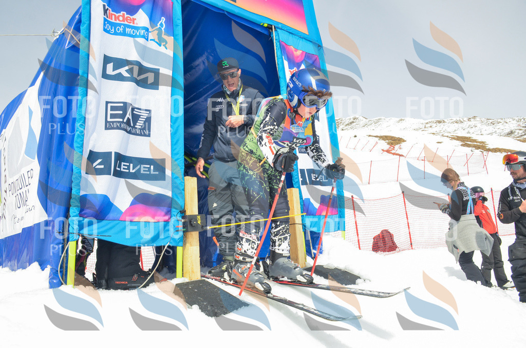 _ELE8219 | holidayphoto