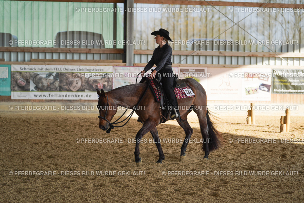 DSC09070 | Pferdegrafie