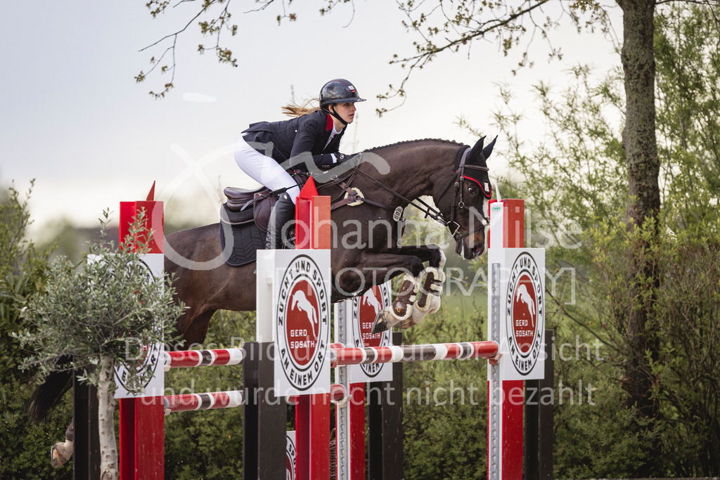 240424_Lemwerder_Stil-M-153 | Deine schönsten Turniermomente als professionelle Fotos! Entdecke hochwertige Pferdesport-Fotografie im Online-Shop. Jetzt Fotos finden & bestellen!