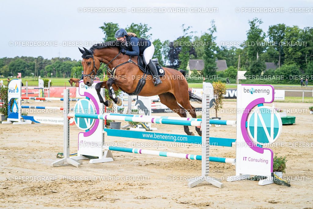 DSC03590 | Pferdegrafie