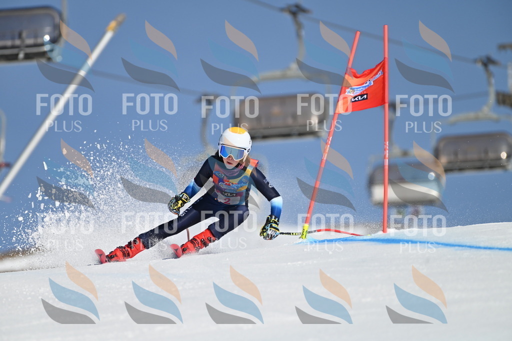 BGV_7591 | holidayphoto