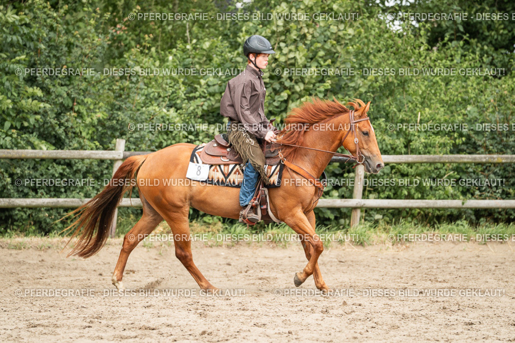 DSC03957 | Pferdegrafie