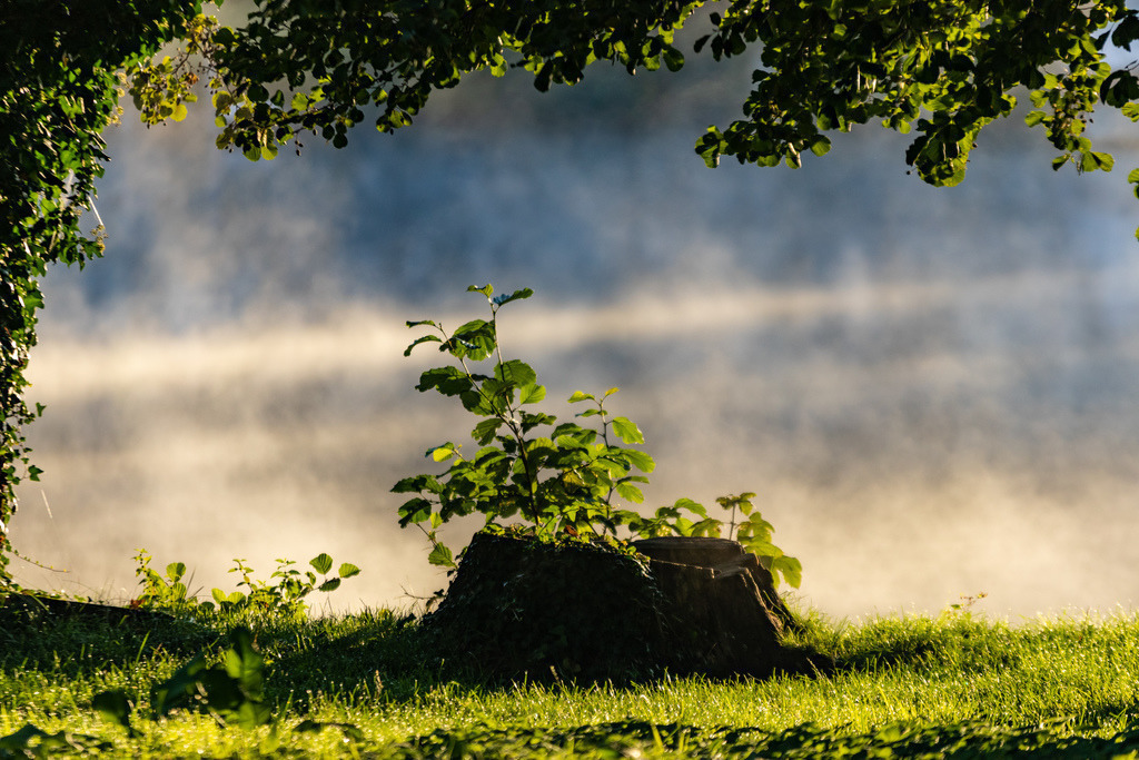 Neues Leben auf der Liebesinsel | Liebesinsel an der Schlossinsel Mirow - Realisiert mit Pictrs.com