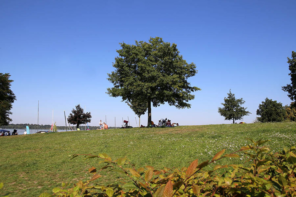 Foto: Leipzig - Cospudener See | Das Team hinter BILDLEXIKON LEIPZIG bündelt historische wie aktuelle Informationen über die Stadt Leipzig in Text und Bild auf einer Plattform und stellt diese der interessierten Öffentlichkeit zur Verfügung.