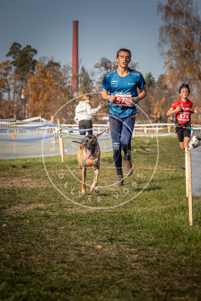 CaniXpix_0L8A8083 | Hundefotografie, Tierfotograf, Pfotenfotografie, Fotoshooting Hund, Hunde Portrait, Hundesport, Hundeportraits, Heideshooting, Hunde, Sportfotograf, Hundefotograf, Turnierhundsport, THS,  - Realisiert mit Pictrs.com