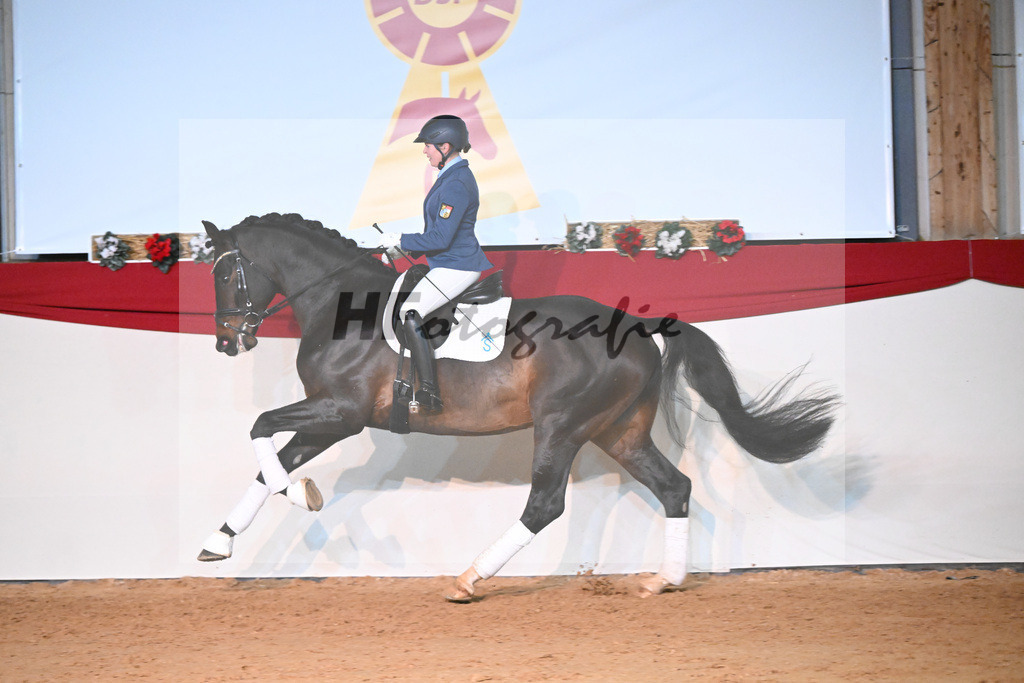 Scalatore_1234542 | hf-fotografie - Realisiert mit Pictrs.com