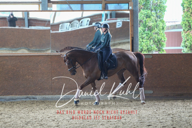 DKP42662 | Turniersportfotografie; Pferdefotografie; Dressurfotografie