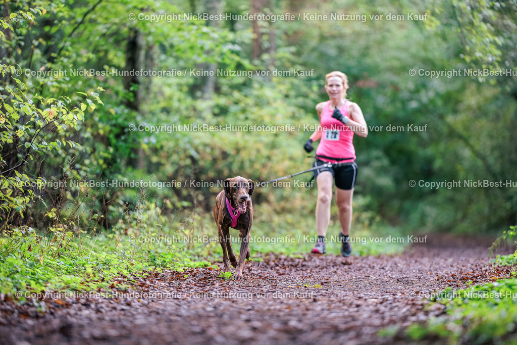 THS-HSV-Blumenthal-2026-Nickbest-Hundefotografie-0165 | Dein Hund! Dein Moment! Deine Erinnerungen! Hundefotografie in Bremen Blumenthal. Ich fange die besonderen Momente deines Vierbeiners ein – ob Indoor mit Blitzanlage oder in der freien Natur. Sicher dir dein Moment und dein Termin für eure Erinnerungen.