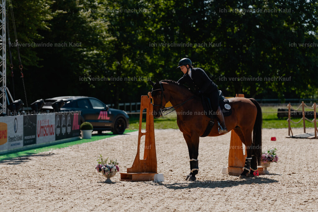 Nadine22_FHC2025-73 | working equitationturnier fotograf videograf stoibphotography marixx film working equitation deutschland reitsport turnierfotografie eventfotografie equestrian events