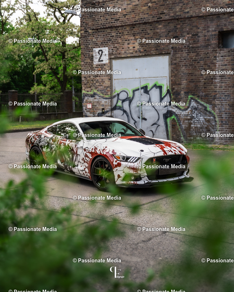 DSC04797 | Passionate Media, dein Fotograf aus Brandenburg, Märkisch Oderland, im Bereich Motorsport, Autos und Motorräder sowie Events und auch Hunde. Shootings oder auch Eventbegleitungen können bei mir gebucht we