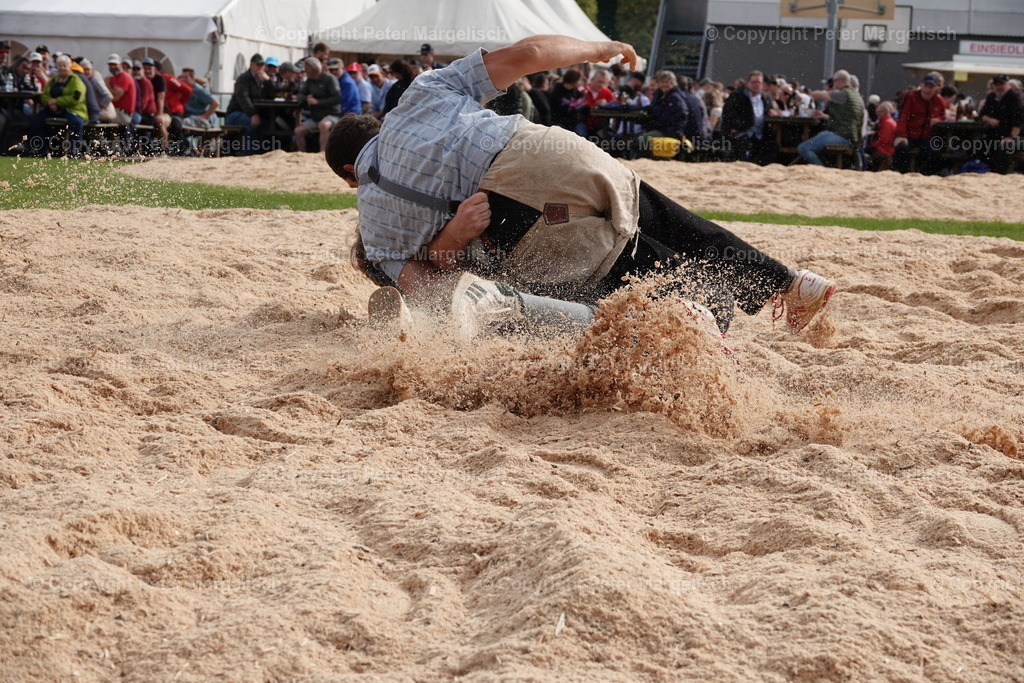 DSC08479 | Schwingen - Realisiert mit Pictrs.com