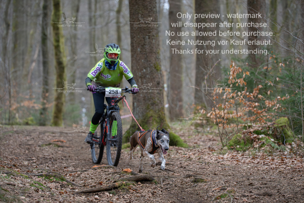 Bike_So-186 | stephaniefillaphotographie - Realisiert mit Pictrs.com