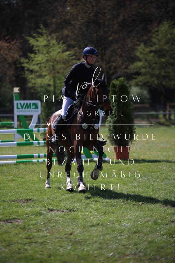 IMGT5682 | pl-fotografie