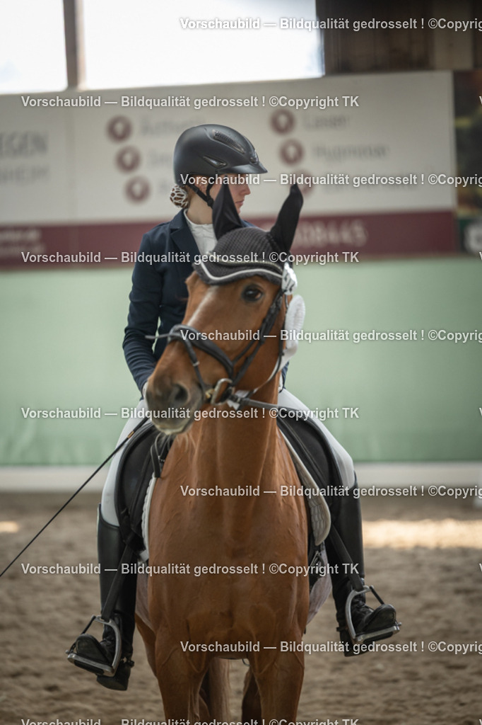 _D5A5844 | Emotionale Pferde- & People-Fotografie rund um Heidelberg, Leimen & Umgebung. Natürliche Fotos von Pferd, Mensch & Familie. Jetzt Termin sichern!