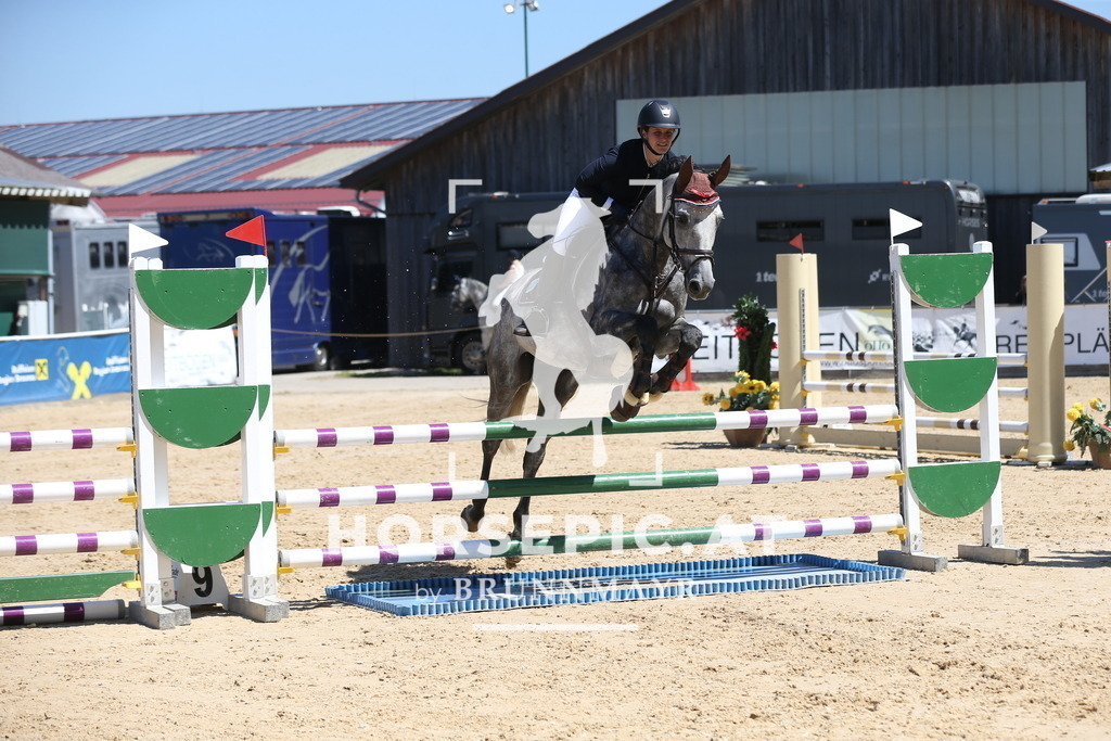 DL2Q9224 | Willkommen bei Brunnmayr - Design & Fotografie – Ihrem Spezialisten für Reitturniere und Pferdeveranstaltungen in Oberösterreich, Salzburg und Bayern! Seit über 17 Jahren sind wir leidenschaftlich dabei.