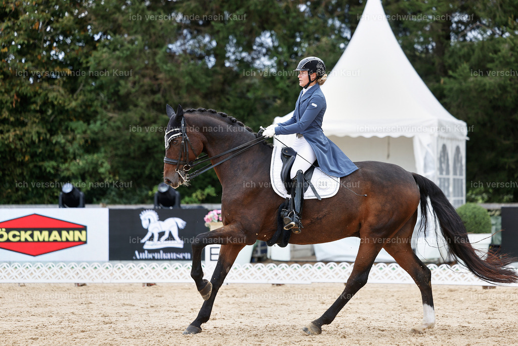 6-200-AMATUER-DRESSUR S_  -StoibPH-3541 | working equitationturnier fotograf videograf stoibphotography marixx film working equitation deutschland reitsport turnierfotografie eventfotografie equestrian events