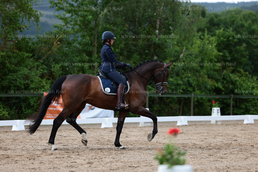 KlasseL_Stoibphotography_CAM21463.JPG | working equitationturnier fotograf videograf stoibphotography marixx film working equitation deutschland reitsport turnierfotografie eventfotografie equestrian events