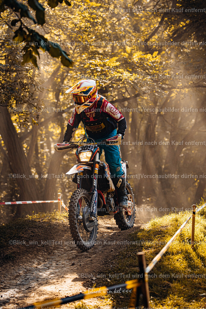 E68A6585 | blick_win_kel