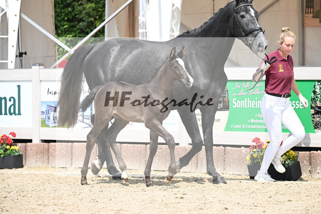 Arezzo Man x Calido I_SF_Maier u Mayerfoels_12250519 | hf-fotografie - Realisiert mit Pictrs.com