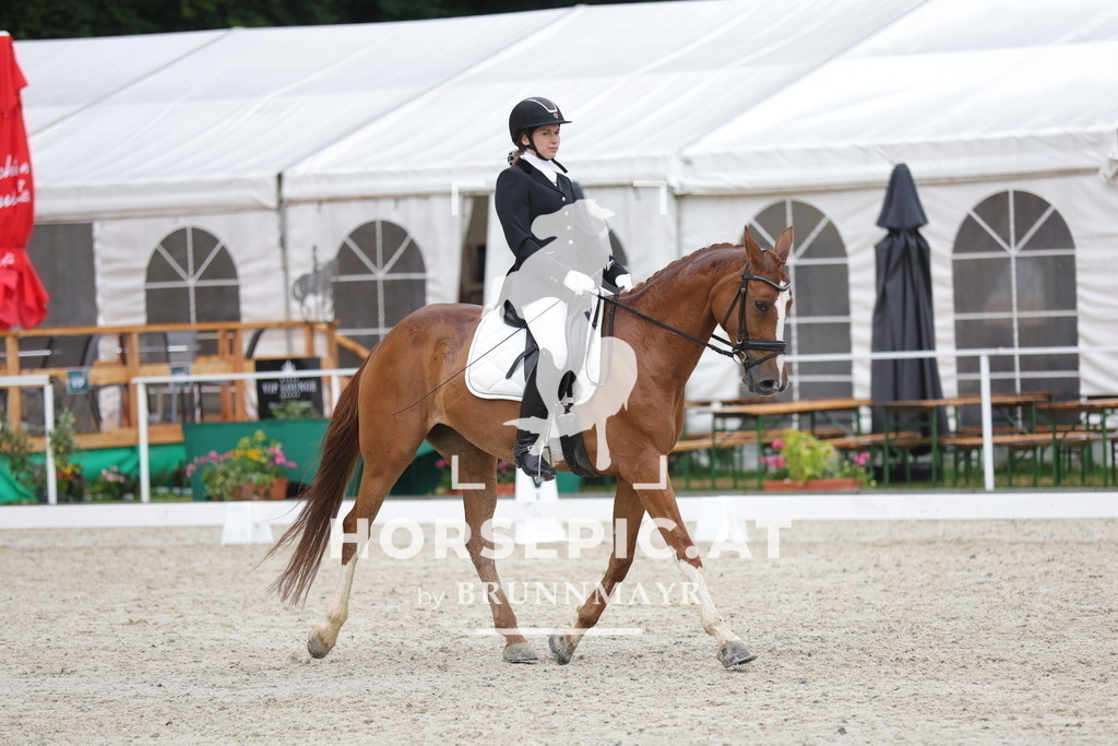 0P6A3568 | Willkommen bei Brunnmayr - Design & Fotografie – Ihrem Spezialisten für Reitturniere und Pferdeveranstaltungen in Oberösterreich, Salzburg und Bayern! Seit über 17 Jahren sind wir leidenschaftlich dabei.