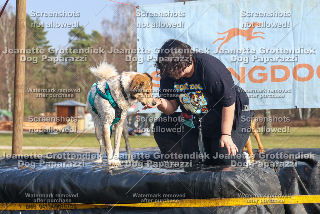 Dog Paparazzi - Strongdog North Mrz26-2933 | Dog Paparazzi Jeanette Grottendiek Fotografie & Videografie - Realisiert mit Pictrs.com