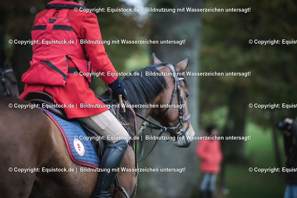 20241013_Jagd-Marbach_0331 | Foto: Thomas Hartig