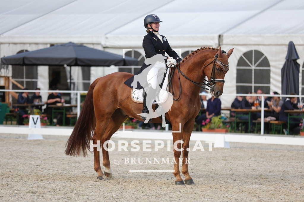 0P6A7963 | Willkommen bei Brunnmayr - Design & Fotografie – Ihrem Spezialisten für Reitturniere und Pferdeveranstaltungen in Oberösterreich, Salzburg und Bayern! Seit über 17 Jahren sind wir leidenschaftlich dabei.