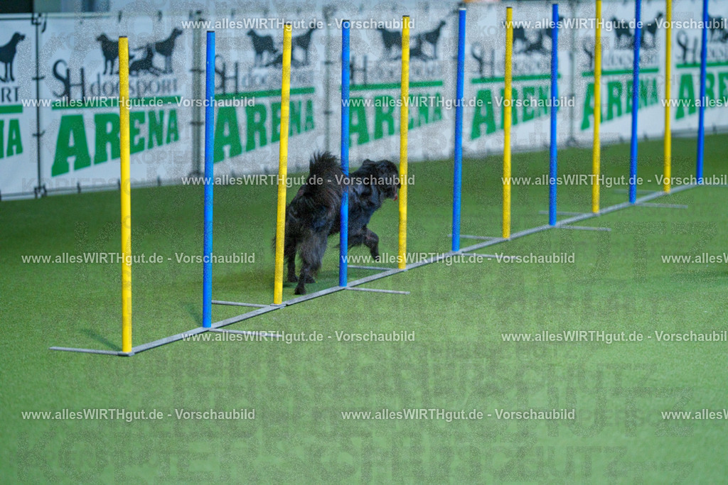 @allesWIRTHgut_Tierfotografie - www.allesWIRTHgut.de - 2604261229-7R501063 | Professionelle Tierfotografie in Mönchengladbach von Daniel Wirth (allesWIRTHgut). Liebevolle & natürliche Bilder von Hunden & Katzen für unvergessliche Erinnerungen.