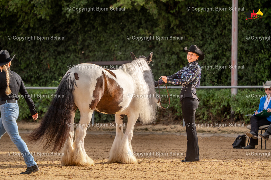 LMS06584 | BS-foto