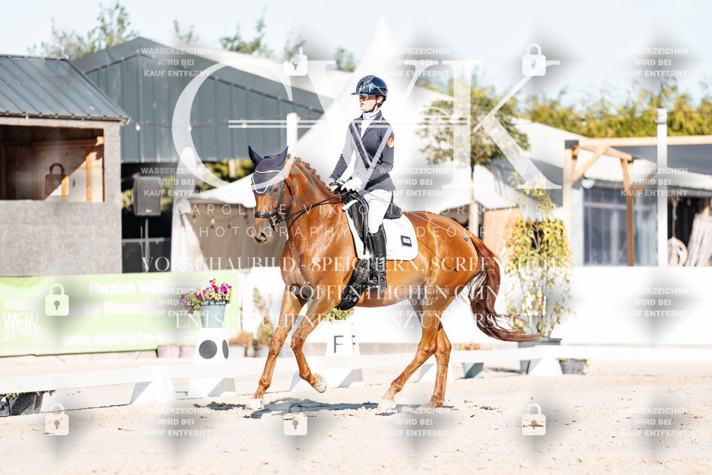 CK907340 | Turnierfotografie Pferdefotografie Trier Rheinland-Pfalz Pferdesport Reitsport Tierfotografie Sportfotografie Pferdevideo Pferdevideografie Equestrianvideography equestrianphotography  - Realisiert mit Pictrs.com