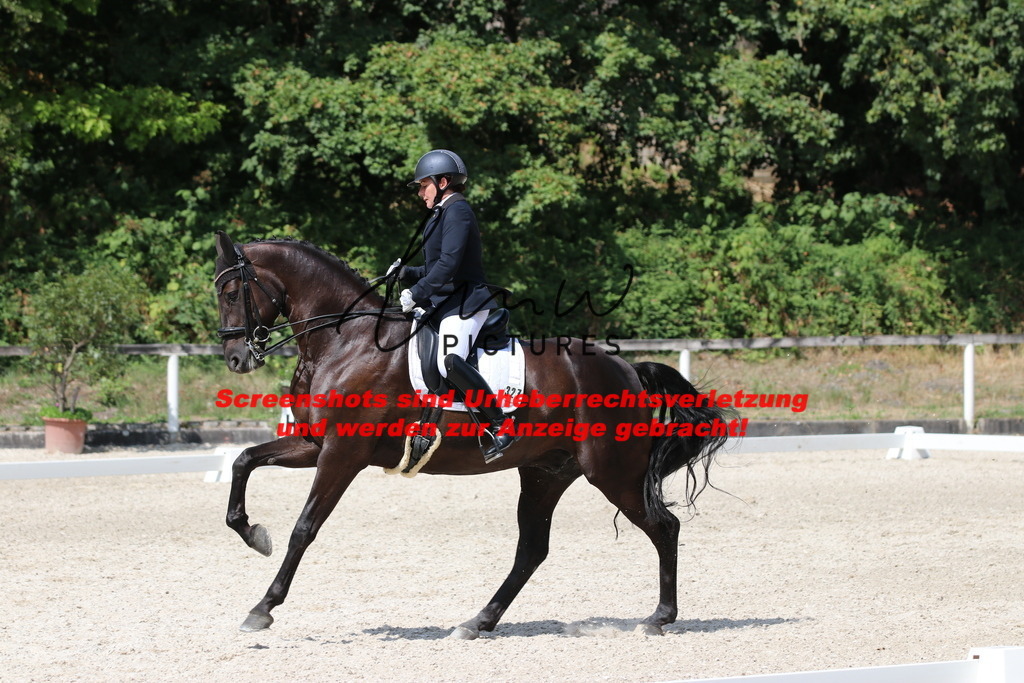 IMG_7281 | lmwpictures - Realisiert mit Pictrs.com