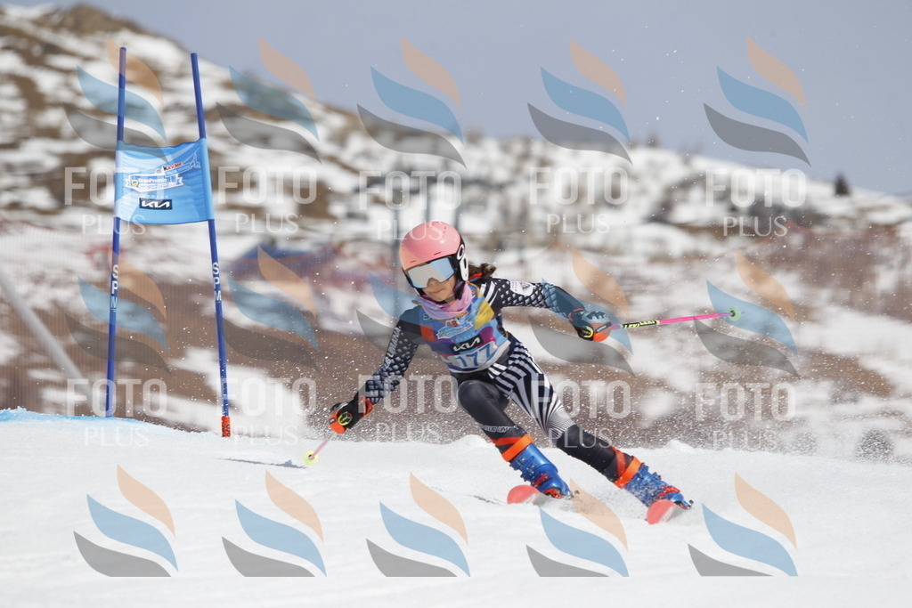 _U3G1678 | holidayphoto