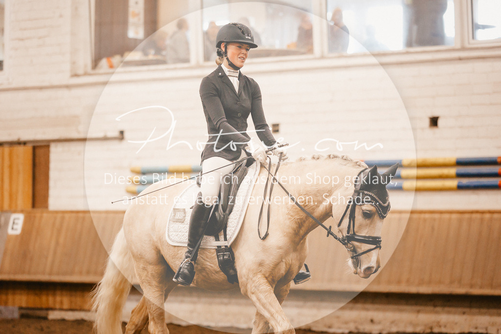 3I6A1749 | Stimmungsvolle Portraits und Reitsportfotografie im Ruhrgebiet und im Münsterland.

Pferdefotografie, Hundefotografie, Tierfotografie, Reportagen, Portraits von Tier und Mensch, Turnierfotografie in Bochum, Recklinghausen, Marl, Haltern am See, Dülmen.. - Realisiert mit Pictrs.com