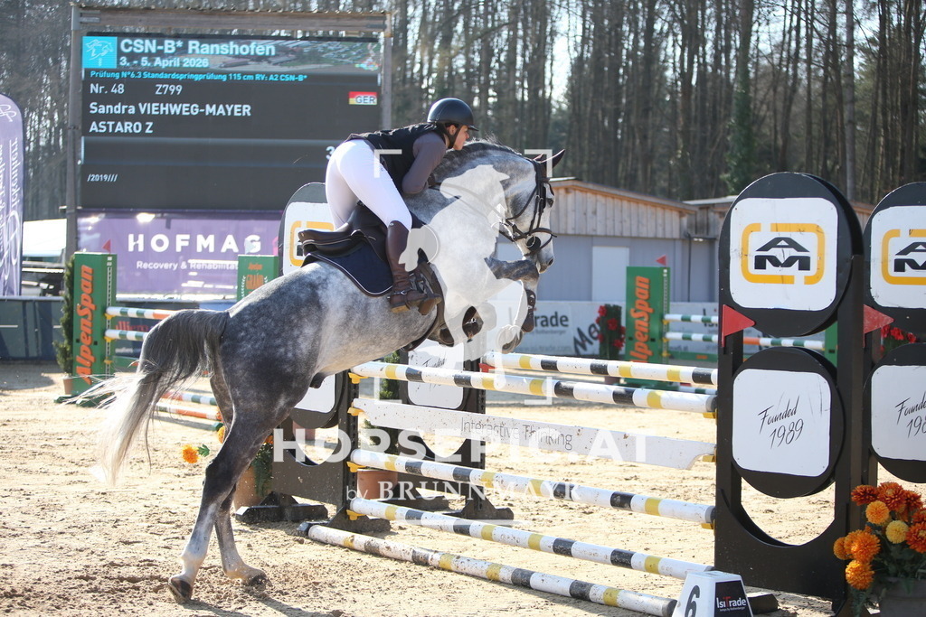 AS8V5169 | Willkommen bei Brunnmayr - Design & Fotografie – Ihrem Spezialisten für Reitturniere und Pferdeveranstaltungen in Oberösterreich, Salzburg und Bayern! Seit über 17 Jahren sind wir leidenschaftlich dabei.