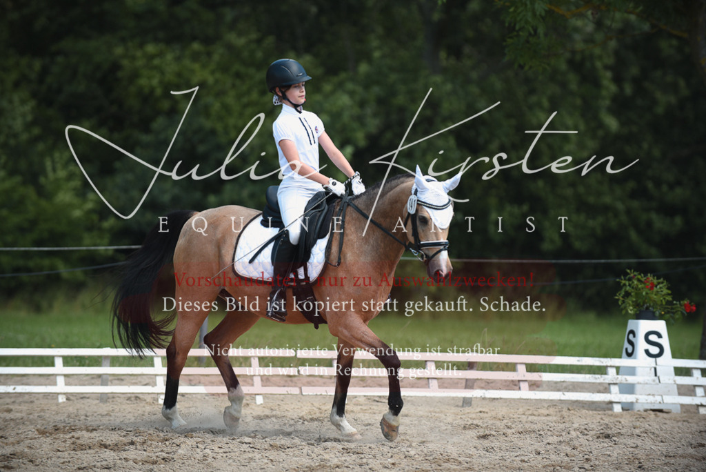 DSC_2531 | Pferde- und Turnierfotografie in Westsachsen. Pferdeportraits, Auftragszeichnungen und intuitive Kunst.