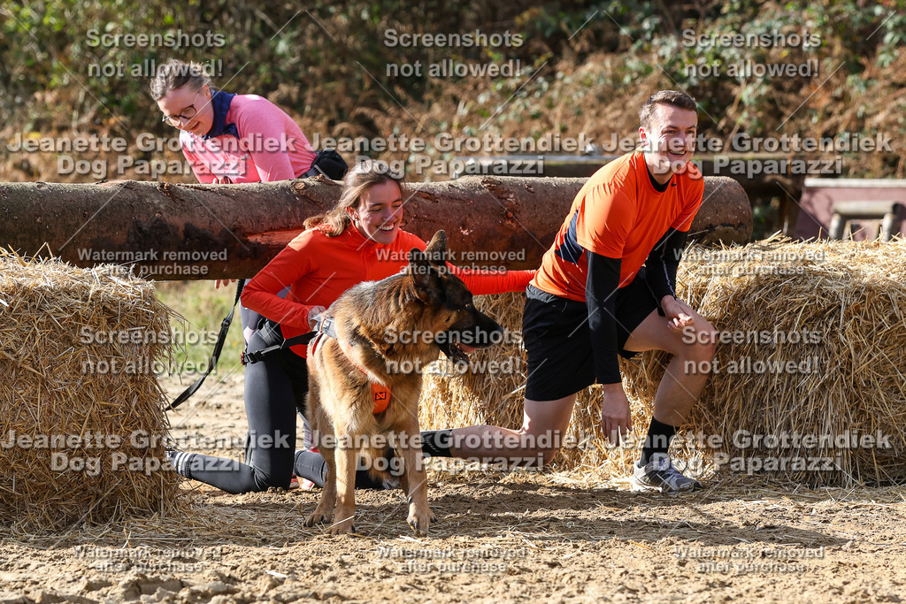 Dog Paparazzi - Strongdog 10-25-5526 | Dog Paparazzi Jeanette Grottendiek Fotografie & Videografie - Realisiert mit Pictrs.com