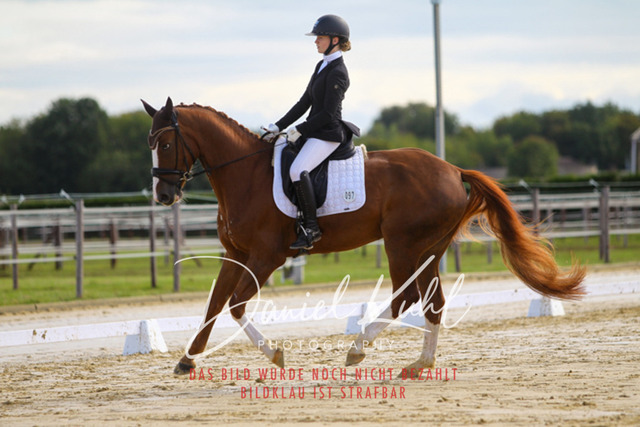 DKP43930 | Turniersportfotografie; Pferdefotografie; Dressurfotografie