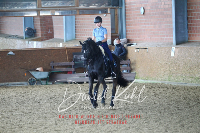 DKP42717 | Turniersportfotografie; Pferdefotografie; Dressurfotografie