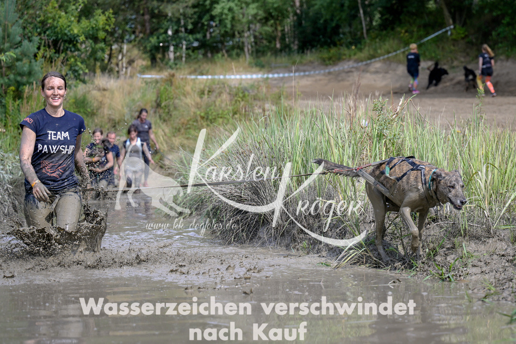 1622_ZZ95661 | kk-dogfotos