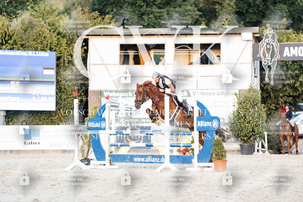 CK901399 | Turnierfotografie Pferdefotografie Trier Rheinland-Pfalz Pferdesport Reitsport Tierfotografie Sportfotografie Pferdevideo Pferdevideografie Equestrianvideography equestrianphotography  - Realisiert mit Pictrs.com