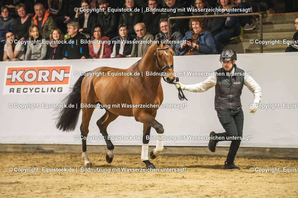 20240302_Hengstvorstellung_Marbach_TOMsPiC_0261-2 | equistock
