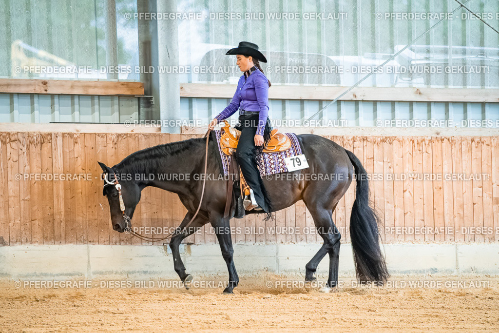 DSC09998 | Pferdegrafie