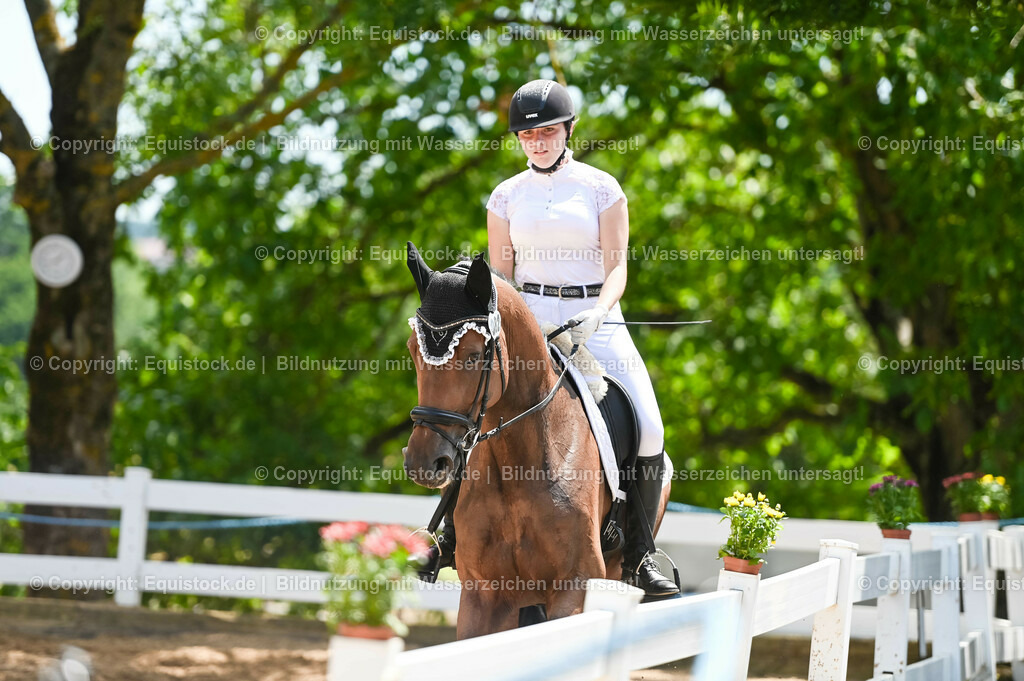 20230715_05_Dressurprüfung Kl.A++_0440 | equistock