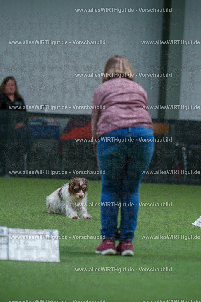 7R502228 | Professionelle Tierfotografie in Mönchengladbach von Daniel Wirth (allesWIRTHgut). Liebevolle & natürliche Bilder von Hunden & Katzen für unvergessliche Erinnerungen.