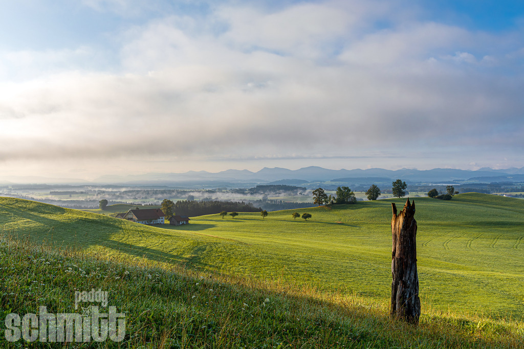 Saftige Frühlingswiese mit Blick auf die Nagelfluhkette | Saftig grüne Frühlingswiese im Allgäu mit beeindruckendem Blick auf die markante Nagelfluhkette. Eine idyllische Landschaftsaufnahme, die die frische und natürliche Stimmung des Frühlings einfängt. - Realisiert mit Pictrs.com